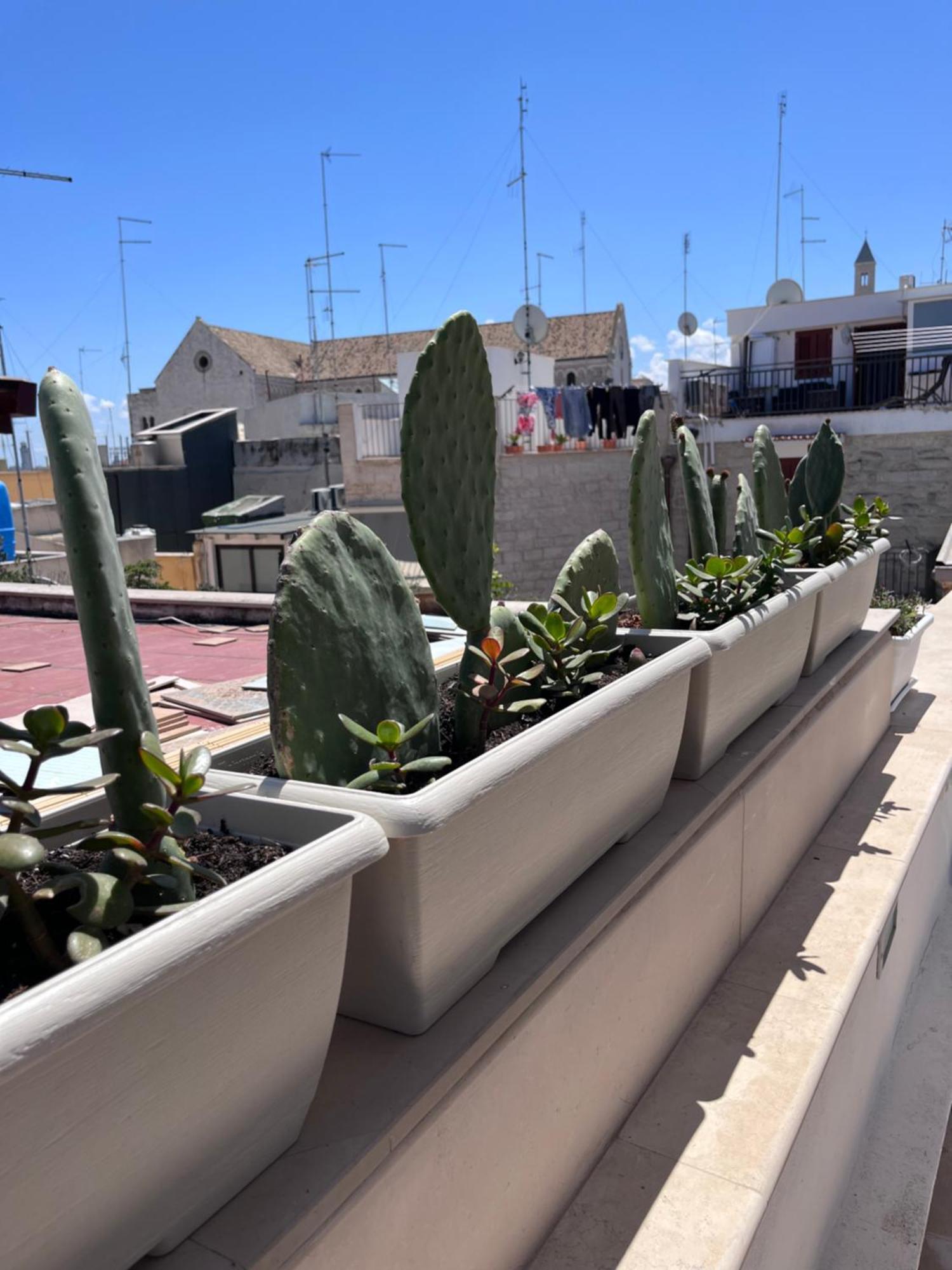 Villa Casa Franca - Terracielo A Bari Vecchia Exterior foto